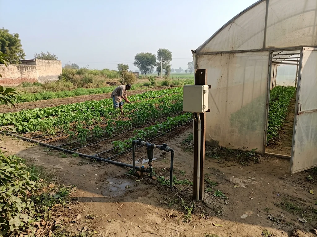 Horticulture rows with field monitoring equipment.